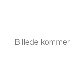 Skotsk Øl